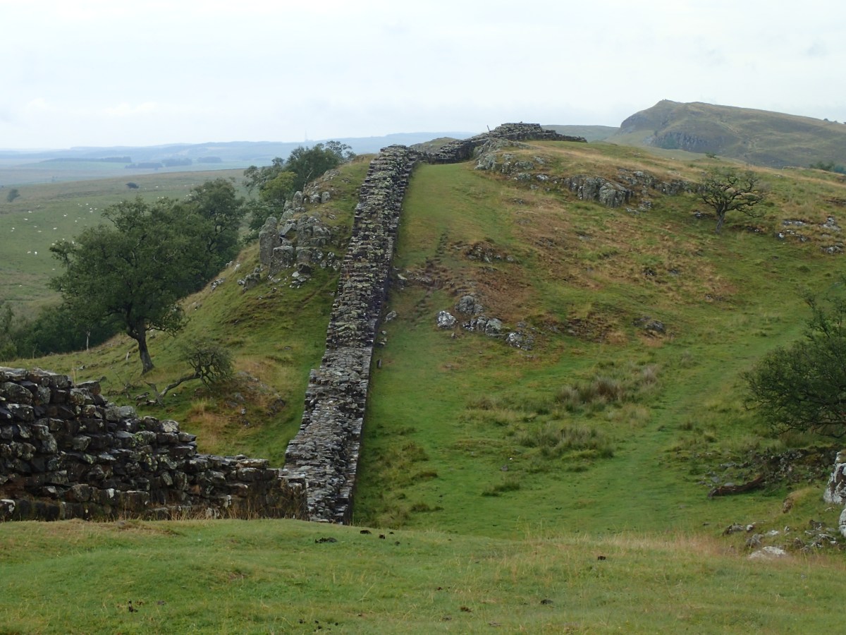 Hart’s-tongue Fern and Hadrian’s&nbsp;Wall