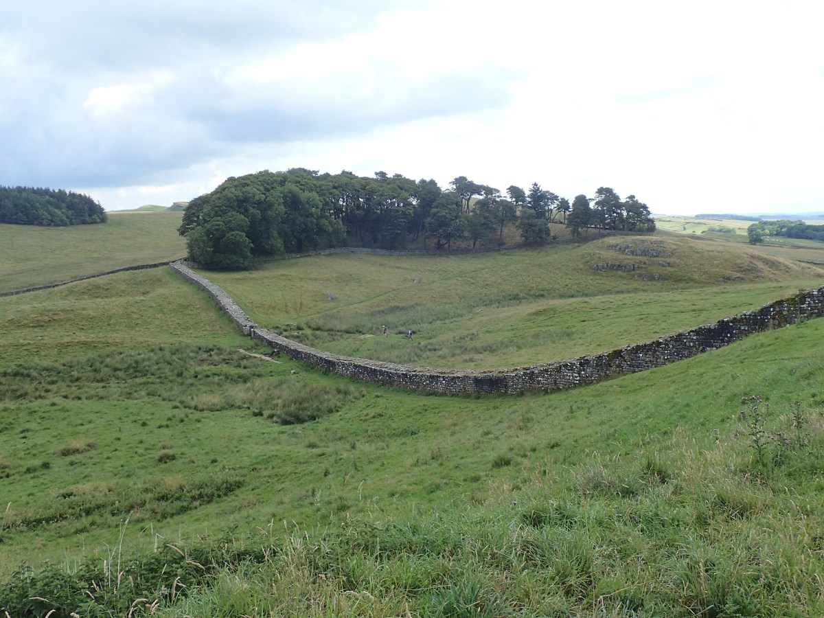 History of Hadrian’s Wall.(from the plants point of&nbsp;view)