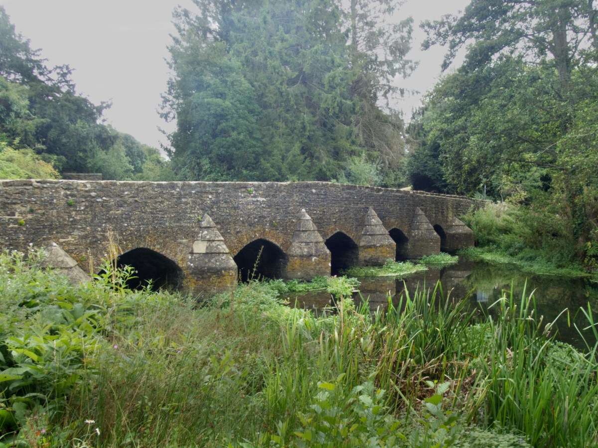 Wall Rue and Easton Grey,&nbsp;Wiltshire.